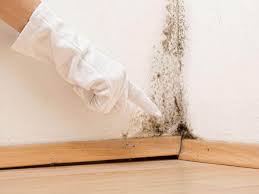 Best Mold Odor Removal Services  in Cleveland, TX